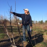 Sandie Barden on Fruit Tree Pruning