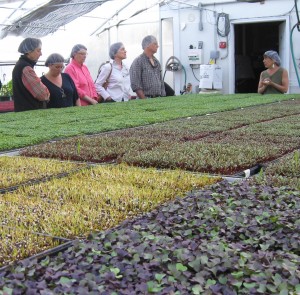 Lauri Roberts at Farming Turtles