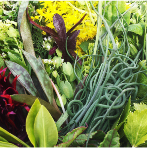 Glorious greens and edible flowers from Indie Growers