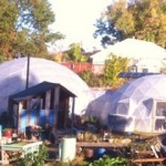 Geodesic Domes Greenhouses at New Urban Farm