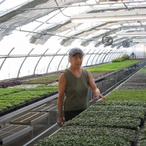 Owner Lauri Roberts in the greenhouse with microgreens at Farming Turtles in Exeter, RI.