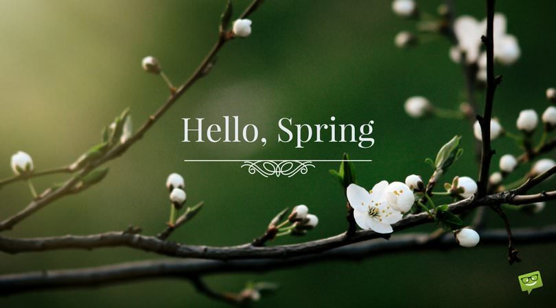 hello spring quotes