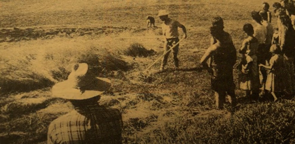 Early NOFA farmers